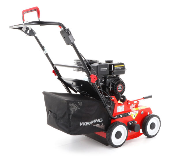 Weibang WB 384 RC - Image 5