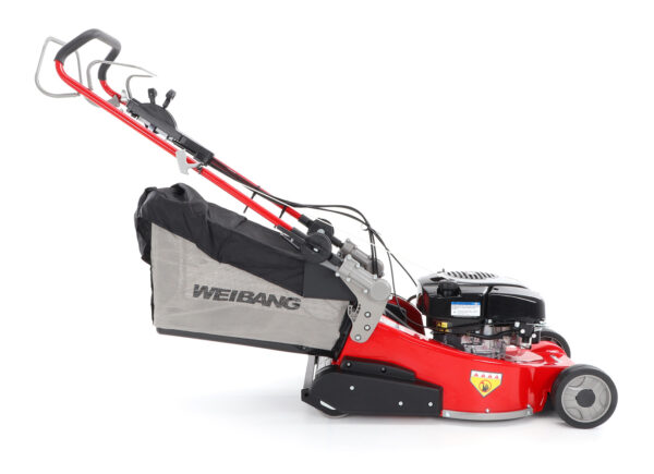 Weibang WB 486 SBV-R - Image 5