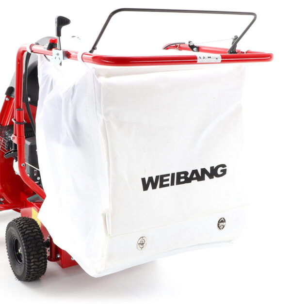 Weibang WB LV506C - Image 15